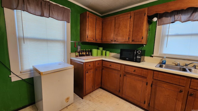 kitchen featuring sink, fridge, and ornamental molding