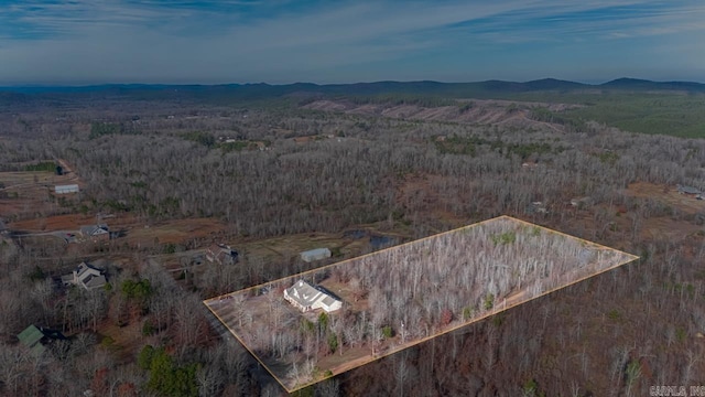 birds eye view of property with a mountain view