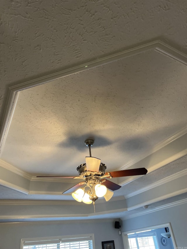 details with a textured ceiling, crown molding, and a tray ceiling