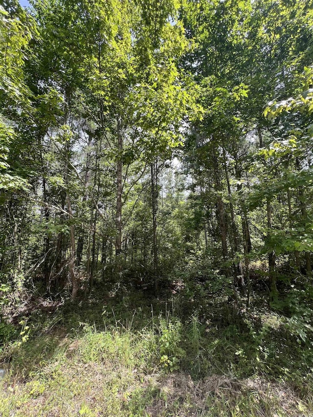 Address Not Disclosed, Sheridan AR, 72150 land for sale