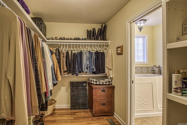 spacious closet featuring light hardwood / wood-style flooring