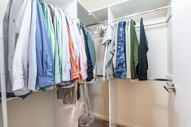 view of spacious closet