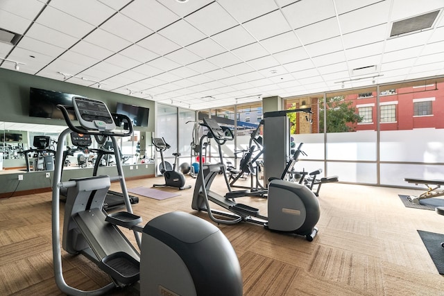 exercise room with carpet flooring and a wealth of natural light