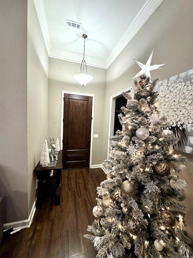 foyer entrance featuring ornamental molding and dark hardwood / wood-style flooring