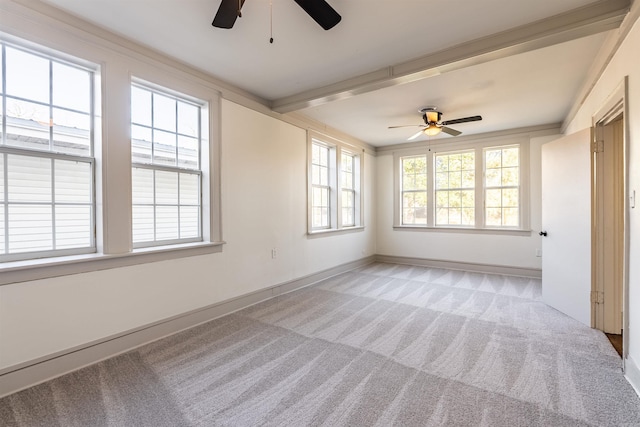 carpeted empty room featuring ceiling fan, beamed ceiling, and ornamental molding