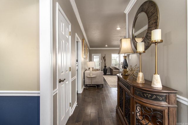 hallway featuring ornamental molding and dark wood-type flooring