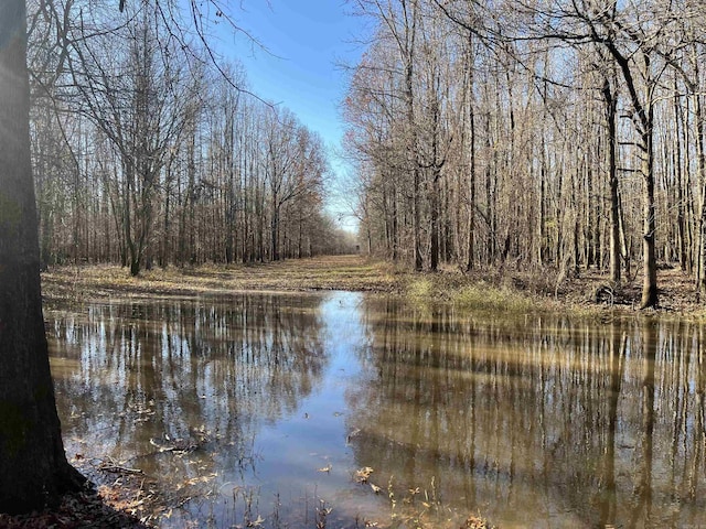 water view