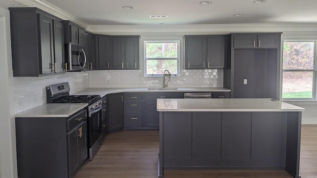 kitchen featuring a healthy amount of sunlight, sink, and stainless steel appliances