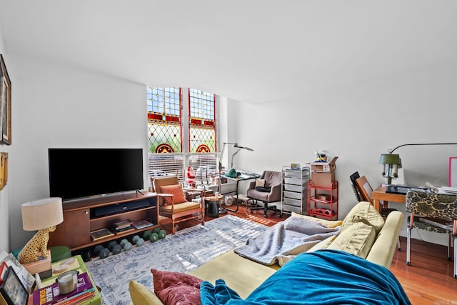 living room with wood-type flooring