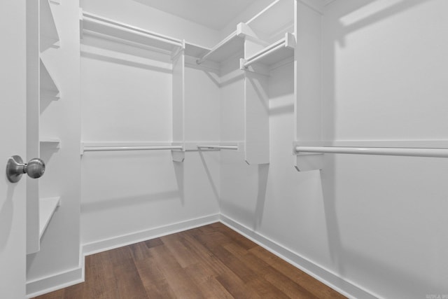 spacious closet with dark hardwood / wood-style floors