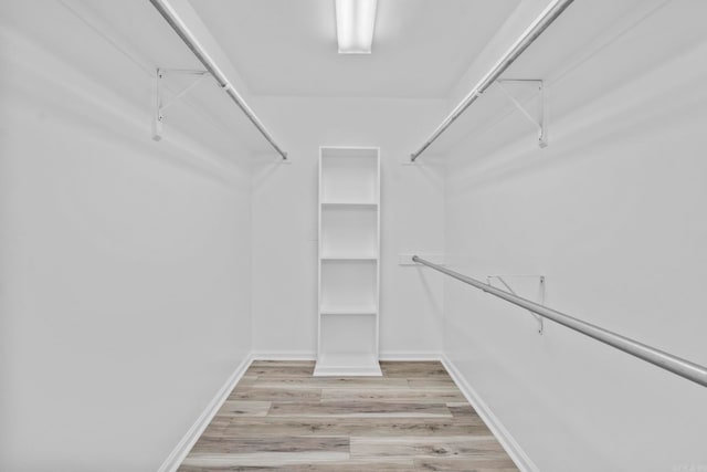 spacious closet with light hardwood / wood-style flooring