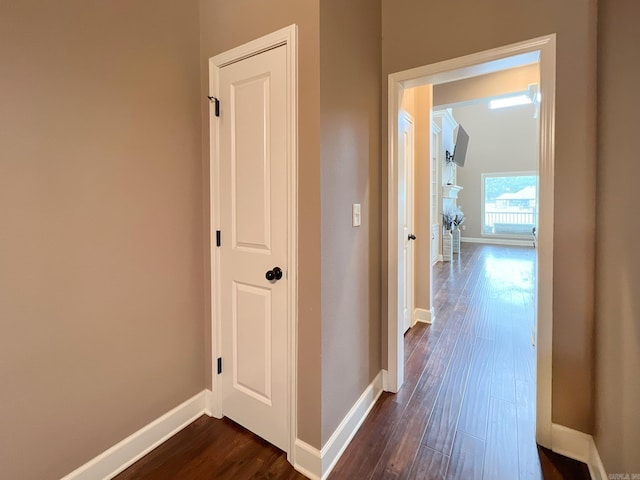 hall with dark hardwood / wood-style flooring