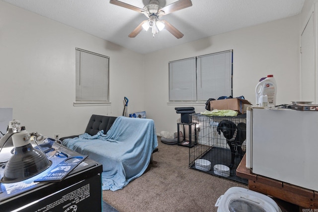 interior space with carpet flooring, ceiling fan, and a textured ceiling