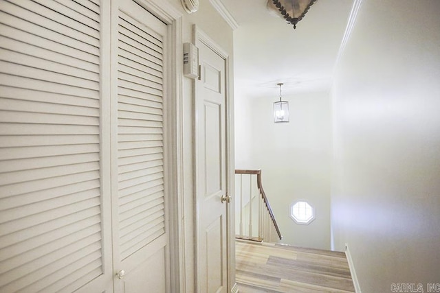 hallway featuring light wood-type flooring and ornamental molding