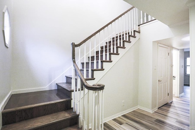 stairs featuring hardwood / wood-style flooring