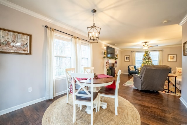 dining space featuring crown molding, dark hardwood / wood-style flooring, and plenty of natural light