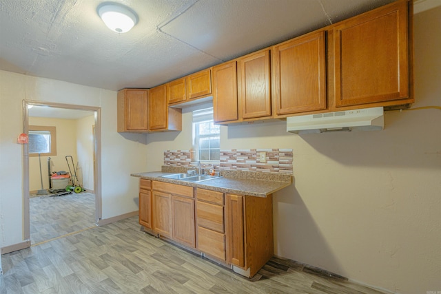 kitchen featuring light hardwood / wood-style flooring, sink, and tasteful backsplash