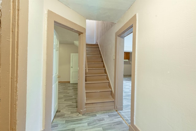 staircase with wood-type flooring