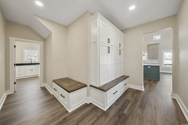 mudroom with dark wood-type flooring and sink