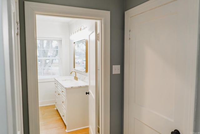 bathroom with crown molding, hardwood / wood-style floors, and vanity