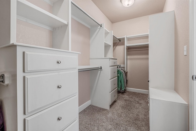 walk in closet with carpet floors