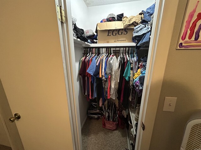 walk in closet featuring carpet