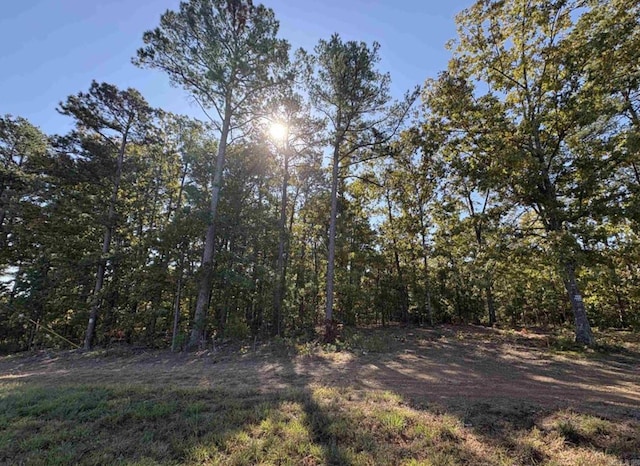 Address Not Disclosed, Higden AR, 72067 land for sale