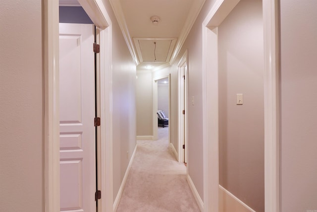 corridor with light carpet and ornamental molding