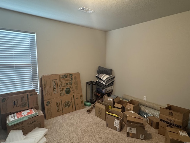 miscellaneous room with a textured ceiling and carpet flooring