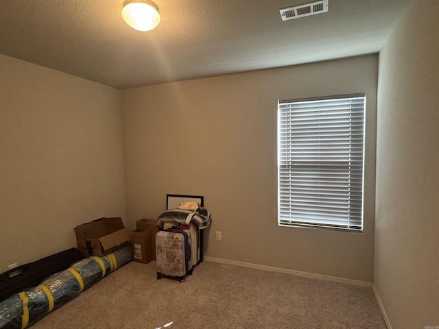 interior space featuring carpet flooring and a textured ceiling