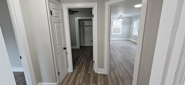 hallway featuring dark hardwood / wood-style flooring