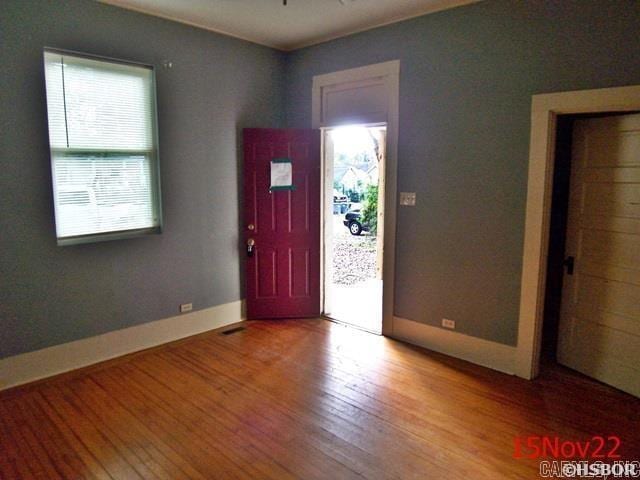 foyer with wood-type flooring and a wealth of natural light