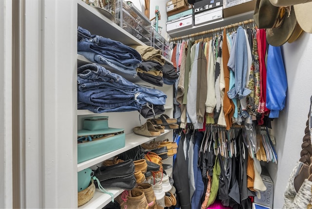 view of spacious closet