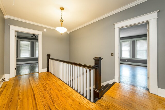 hall featuring crown molding and wood-type flooring