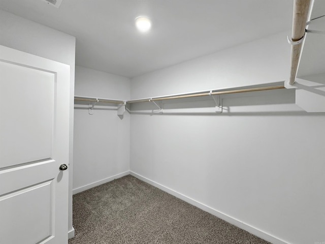 walk in closet with carpet