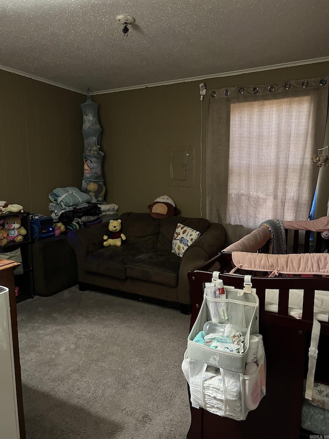 living room featuring ornamental molding, carpet, and a textured ceiling