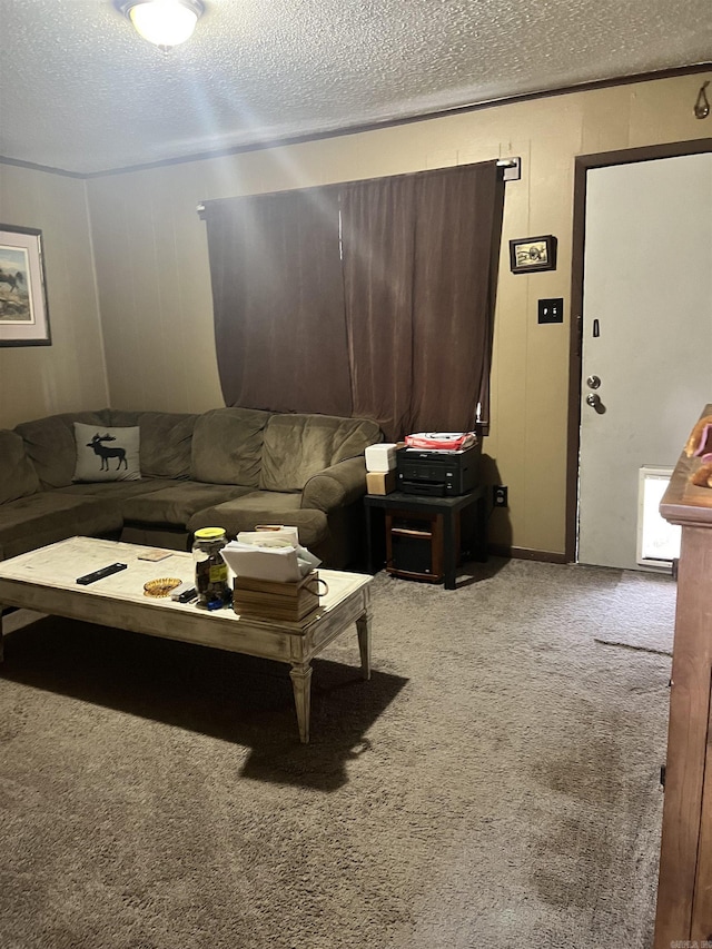 carpeted living room featuring a textured ceiling