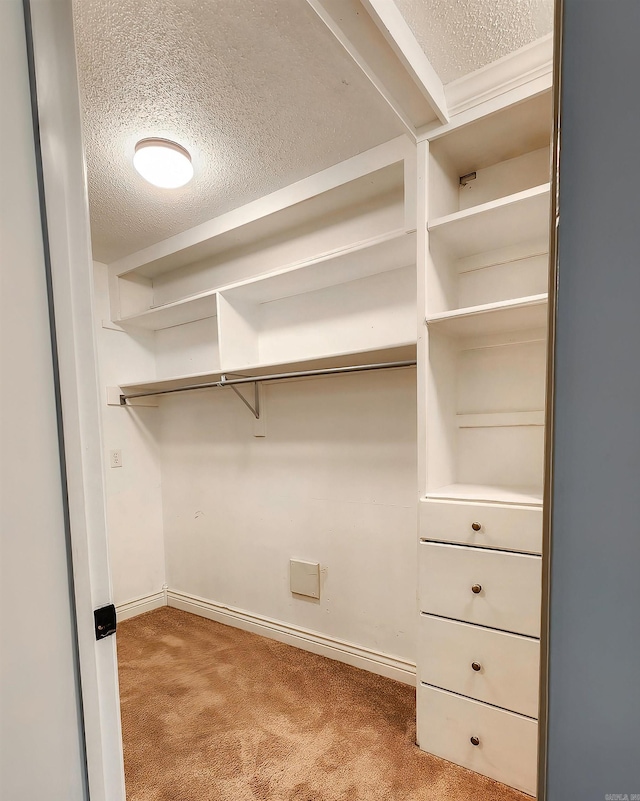 walk in closet featuring carpet flooring