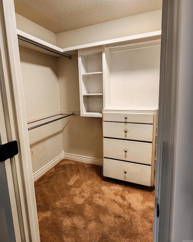 spacious closet with carpet flooring