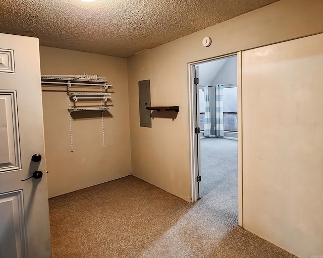 walk in closet featuring electric panel and light colored carpet