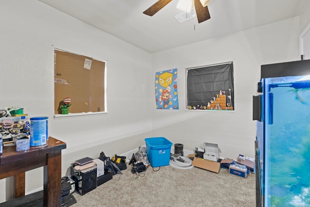 misc room featuring carpet flooring and ceiling fan