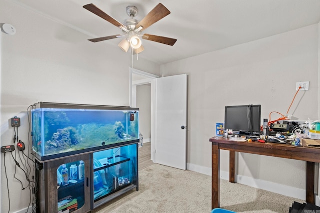 carpeted home office with ceiling fan