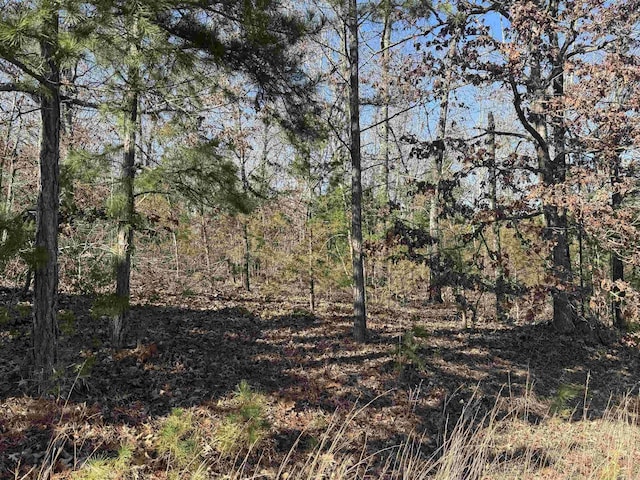 Listing photo 3 for Ferro Rd, Oxford AR 72565