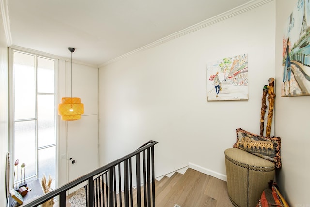 hall featuring light wood-type flooring and crown molding