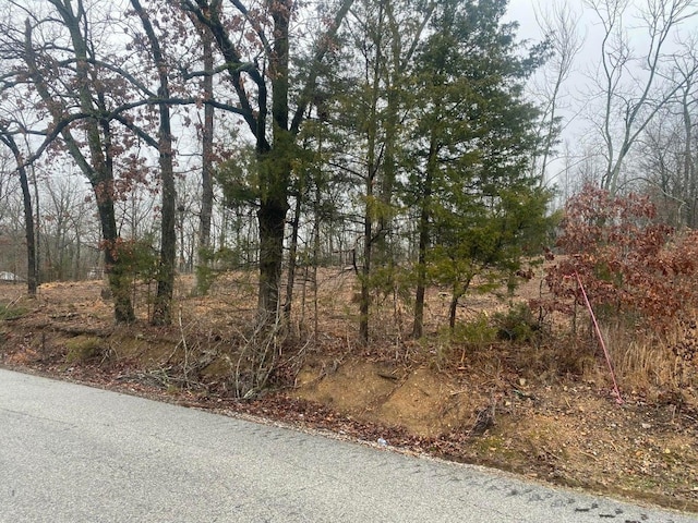 Listing photo 3 for Cave Creek Rd, Batesville AR 72501