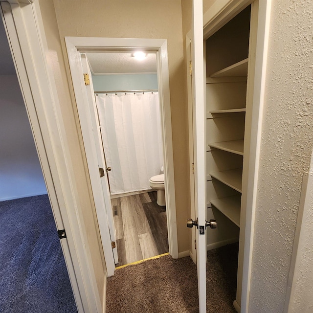 bathroom featuring toilet