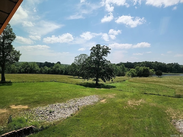 view of yard with a rural view