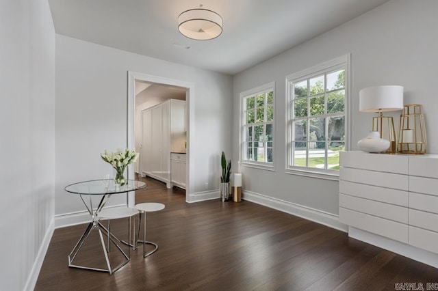 living area with dark wood-type flooring