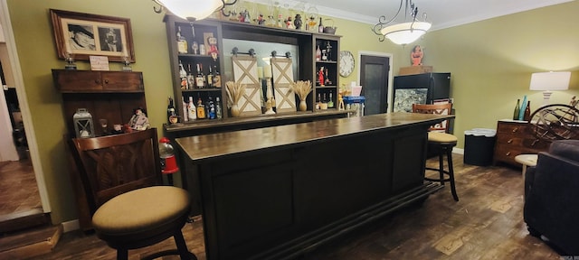 bar with decorative light fixtures, dark hardwood / wood-style floors, and crown molding