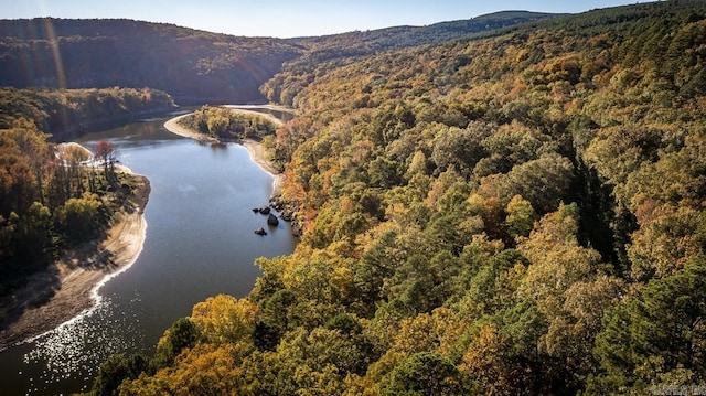 bird's eye view featuring a water and mountain view